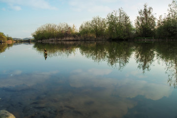 River reflexion and green foliage