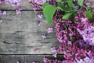 Spring flowers. Lilac flowers Frame on Rustic Textured Gray wooden background. Top view, flat lay