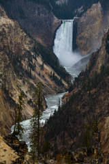 Fototapeta na wymiar Yellowstone Falls