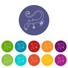 Lizard icon. Outline illustration of lizard vector icon for web