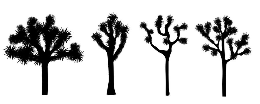Joshua tree vector collection