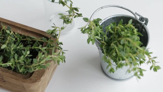 Slow pan of thyme twigs on white table. Top view.  Selective and switching focus.