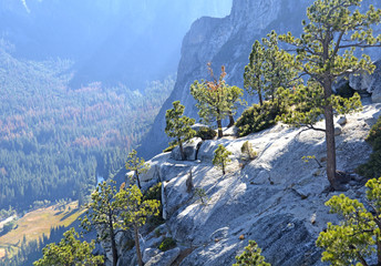 Beautiful landscape in the Yosemite National Park