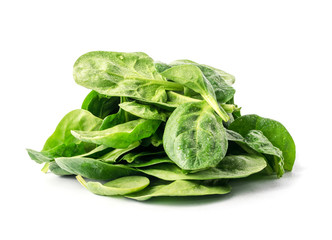Fresh Spinach Leaves Collection