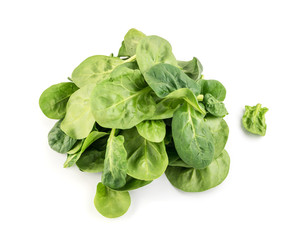 Fresh Spinach Leaves Collection