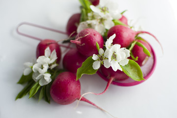 radish in the sieve with decoration of apple blossom