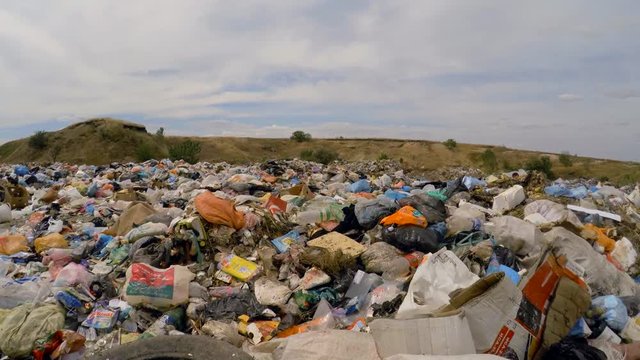 a variety of rubbish on piles of garbage in a dump.