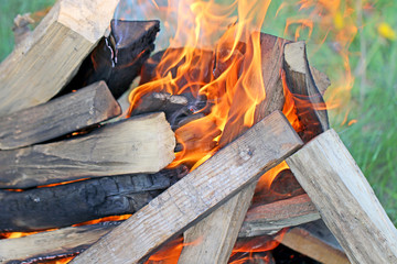 burn firewood on fire, a picnic in the nature