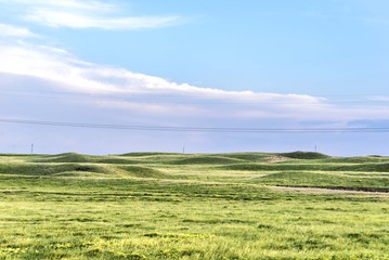landscape of green fields with blue sky
