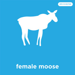 female moose icon isolated on blue background