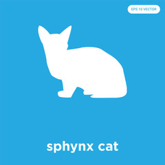 sphynx cat icon isolated on blue background