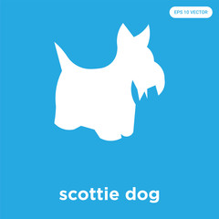scottie dog icon isolated on blue background