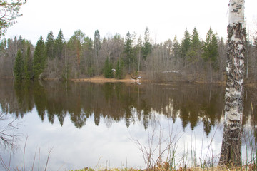 Fototapeta na wymiar Spring flood forest lake in the north of Russia.