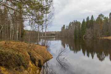 Spring flood forest lake in the north of Russia.