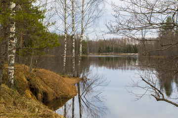 Spring flood forest lake in the north of Russia.