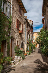 Fototapeta na wymiar Alley view with stone houses and plants in the morning sun in Vence, a stunning medieval hamlet completely preserved. Located in the Alpes-Maritimes department, Provence region, southeastern France