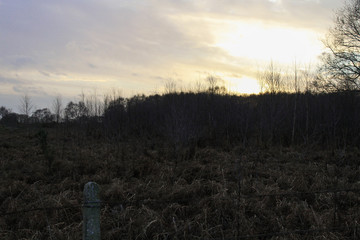 Blue sky with an assortment of clouds and an amazing sunset with treest and foliage in the foreground