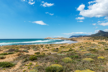 Parque Natural de Calblanque. Murcia. Spain. 8 April 2018
