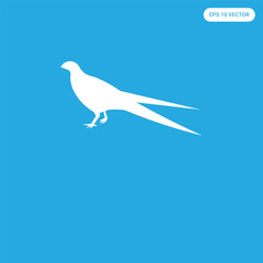  icon isolated on blue background