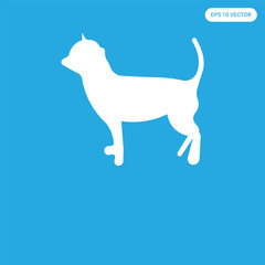  icon isolated on blue background