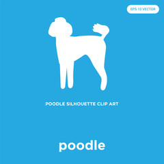poodle icon isolated on blue background
