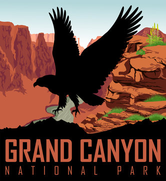 Vector Colorado river in Grand Canyon National Park with bald eagle