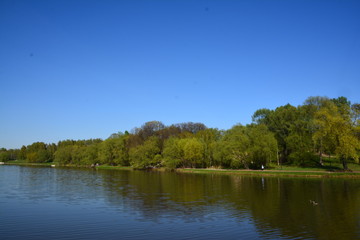 Park alley walkway pathway trees spruce birch sky grove forest blue green grass flora nature landscape stones arch building greenery oxygen lantern bridge lake season sunset