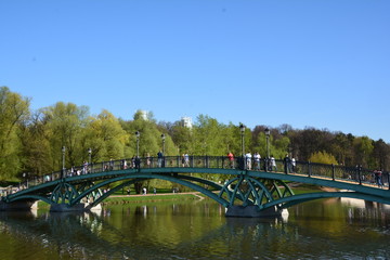Fototapeta premium Park alley walkway pathway trees spruce birch sky grove forest blue green grass flora nature landscape stones arch building greenery oxygen lantern bridge lake season sunset