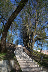 Park alley walkway pathway trees spruce birch sky grove forest blue green grass flora nature landscape stones arch building greenery oxygen lantern bridge lake season sunset