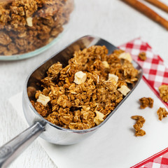 Apple Cinnamon Granola Breakfast. Selective focus.