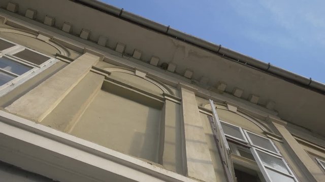 Low angle of a building