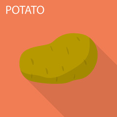 Potato icon. Flat illustration of potato vector icon for web design