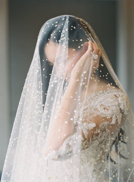 Romantic Bride under Veil