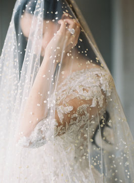 Romantic Bride under Veil