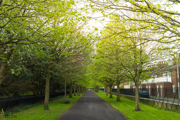 Naklejka premium Sunny day on the park Dublin