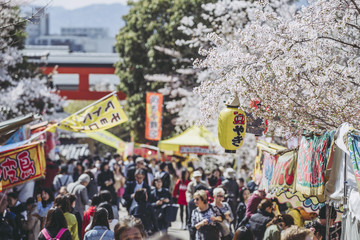 京都観光を楽しむ人々