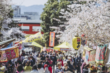 京都観光を楽しむ人々