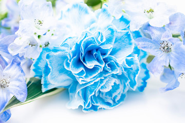 青いカーネーションとデルフィニウムの花