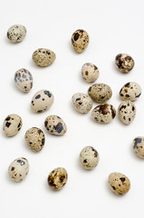 quail eggs on a white background