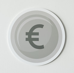 European Union currency exchange icon