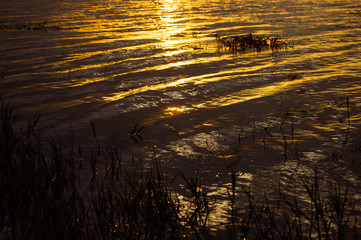 Sunset Near The River 