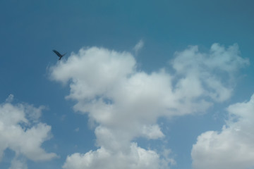 Silhouette of a bird of prey against blue sky and clouds near Normanton in outback Queensland, Australia