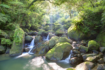 Refreshing cascades in a mysterious forest with sunbeams shining through the misty air in lavish greenery ~ Beautiful river scenery of Taiwan in springtime