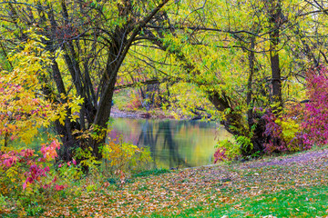 Park in autumn slendor with river reflecting colorful hues in Montana