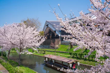 Deurstickers 京都　伏見十石舟と桜 © Route16
