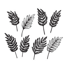 Fototapeta premium Hand sketched leaf set. Vector botanical elements isolated on white