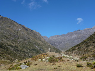 Fototapeta premium paisa2