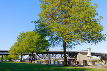 Scenery of Tom McCall Waterfront Park in downtown Portland