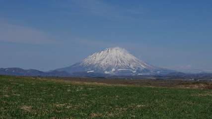 Fototapeta premium 羊蹄山