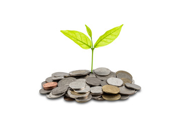 A pile of coins isolated on white background